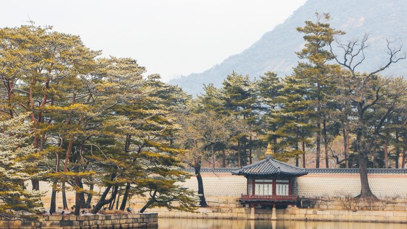 aqdlt.com.cn 场景参考图